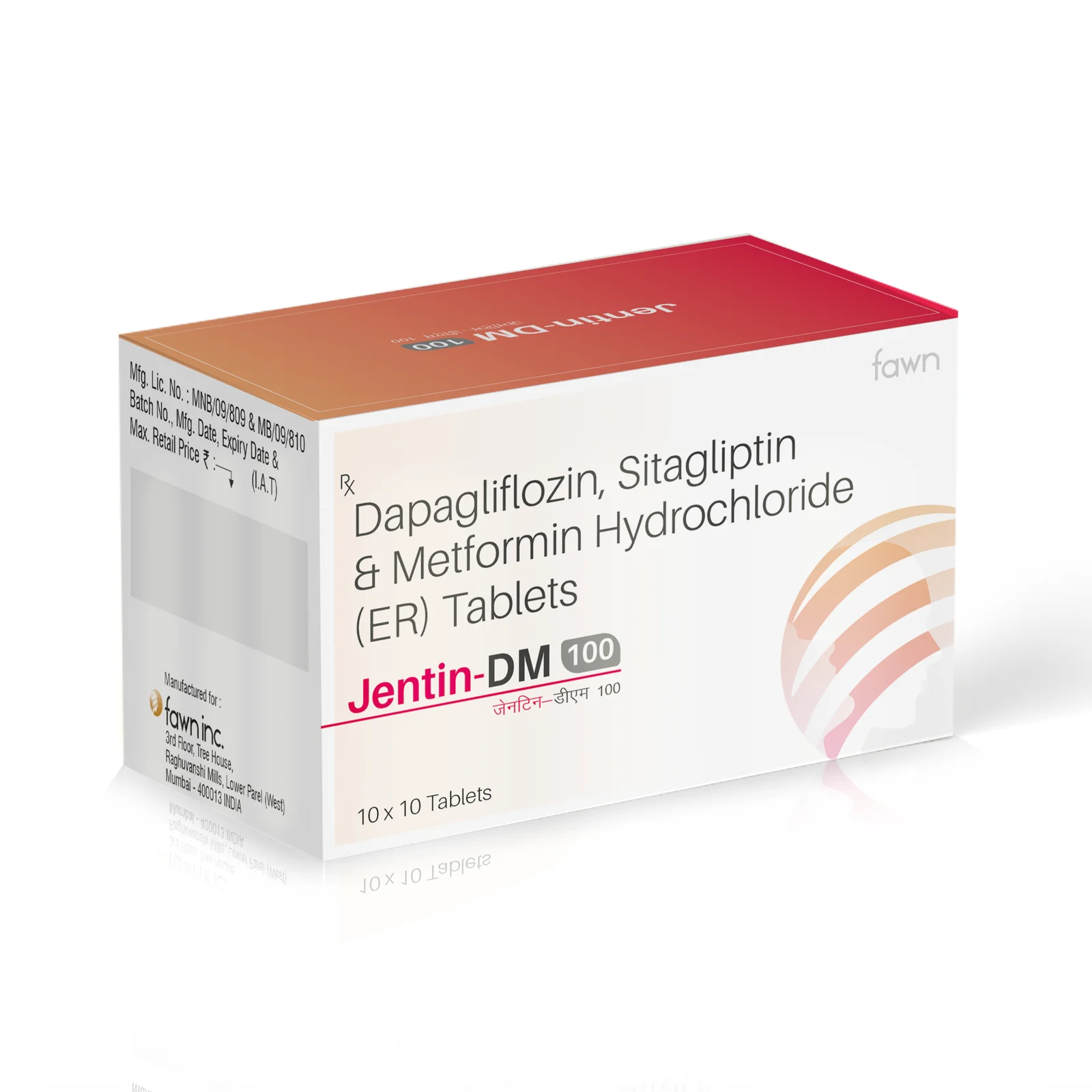 JENTIN DM 100