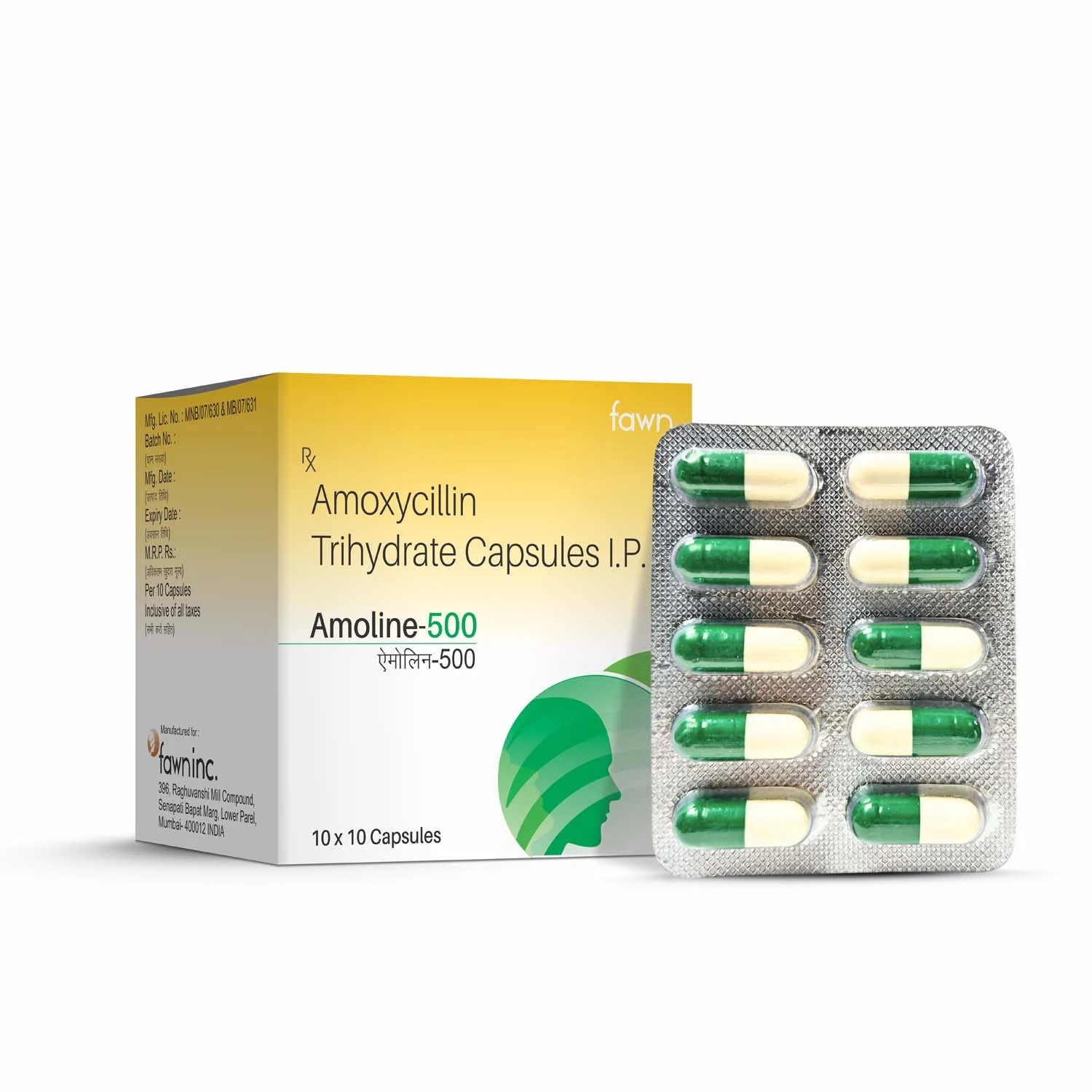 Amoxycillin 500 mg Trihydrate Capsules - AMOLINE 500 Capsules